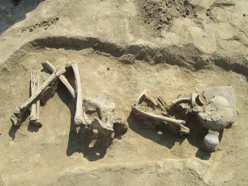 An excavated ancient burial in Ukraine — skeletons from antiquity fall within ordinary human stature