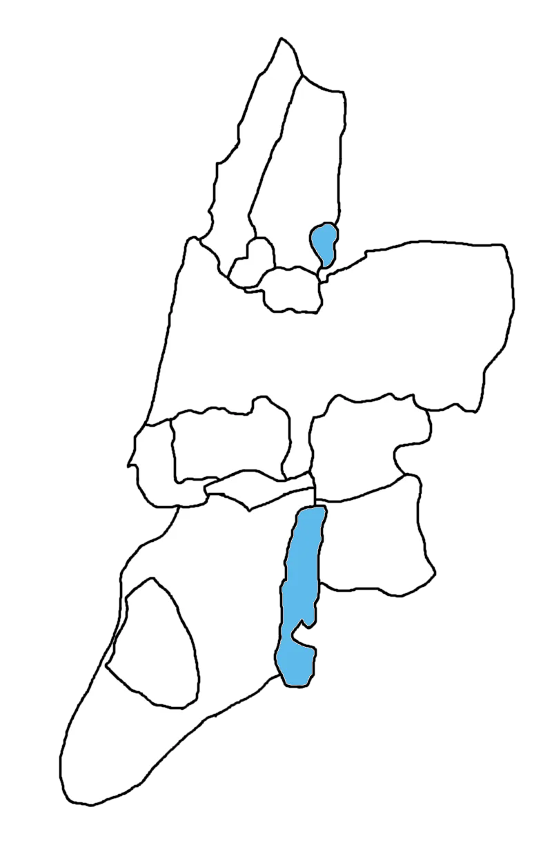 A modern map dividing the land among the twelve tribes of Israel