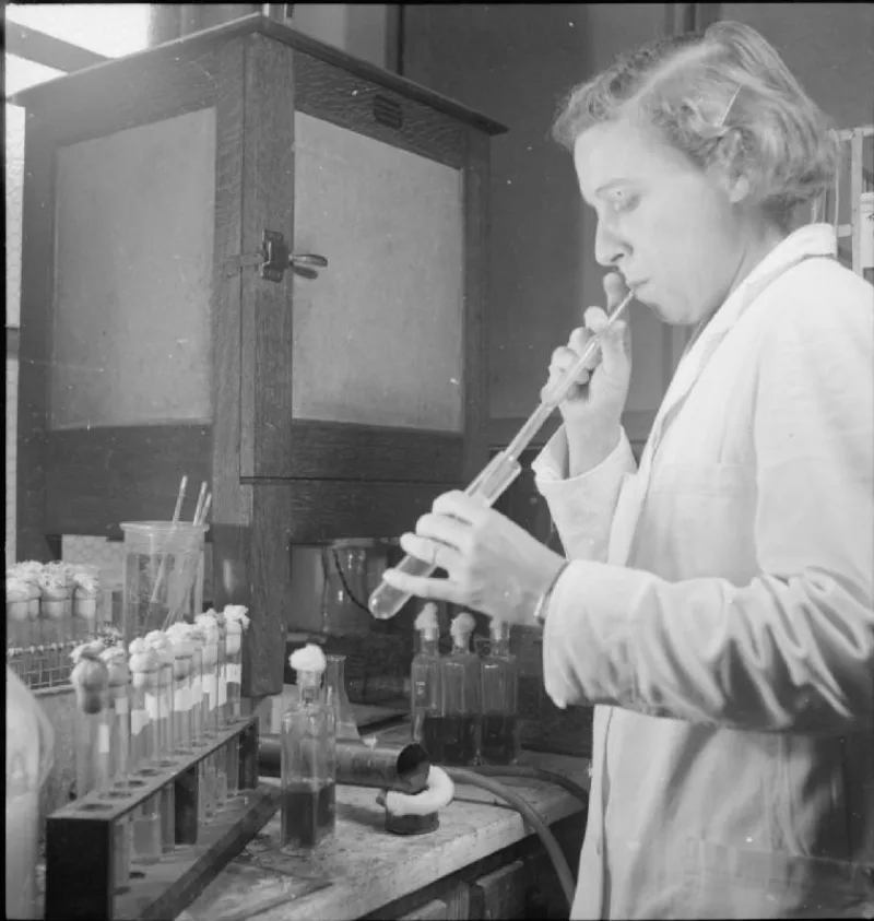 A wartime laboratory drying blood plasma at Cambridge in 1943; fractions are made from donated blood