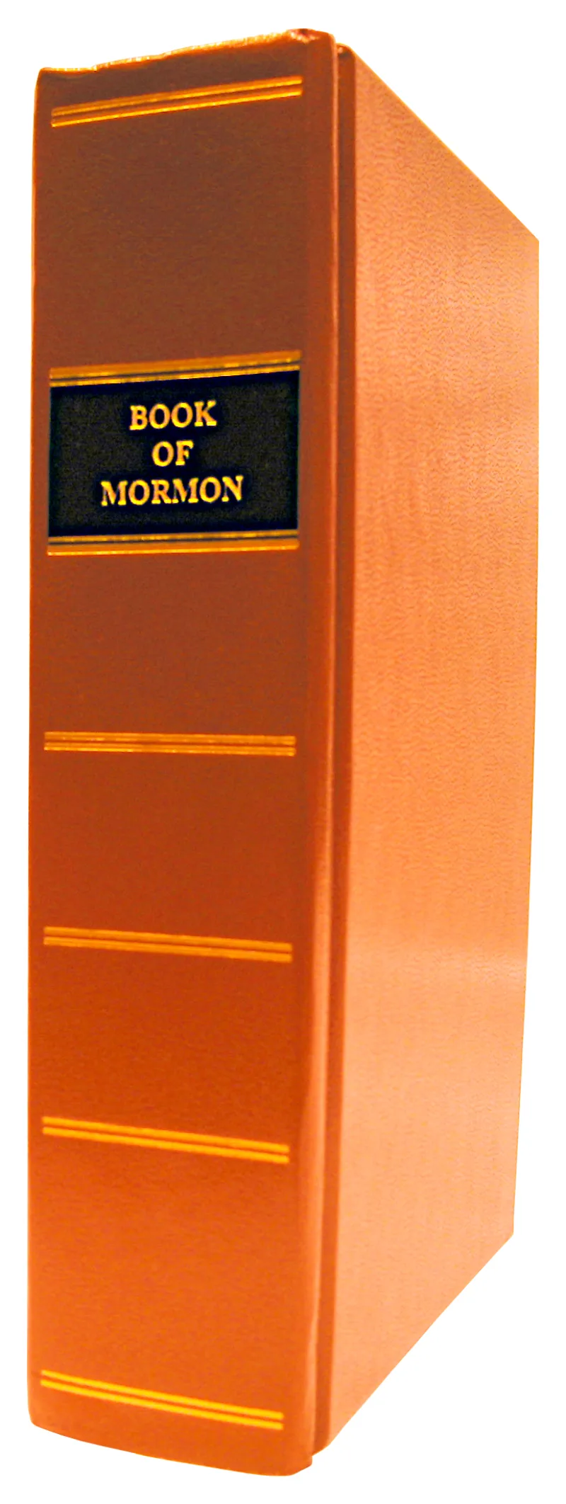 The 1830 Book of Mormon, published four years after the Bainbridge examination