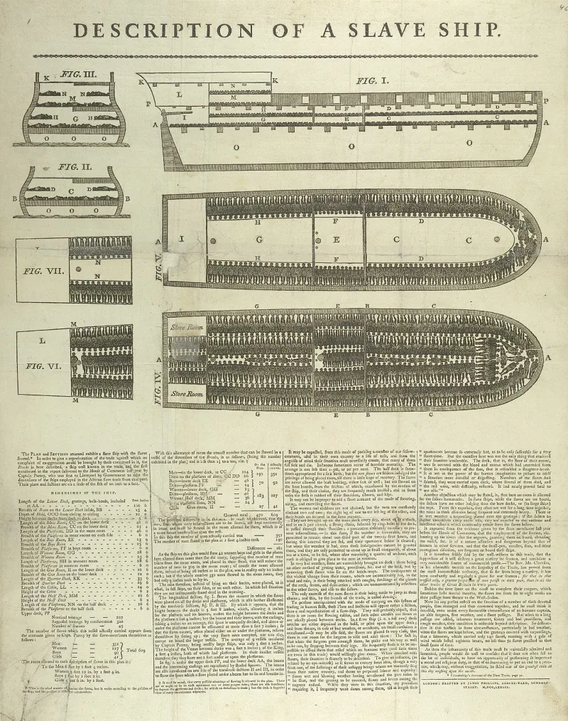 The 1788 Brookes stowage diagram, published by abolitionists to document conditions on the Middle Passage