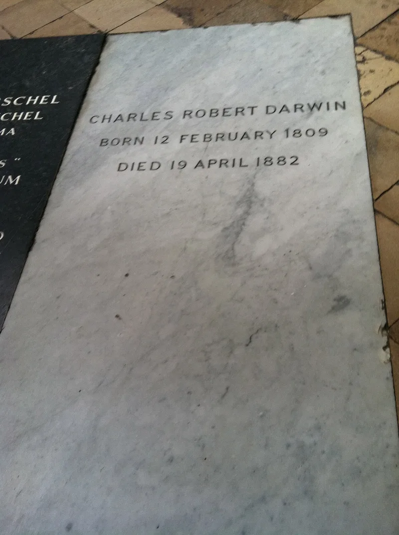 Darwin's grave slab in Westminster Abbey; he died in 1882, and the story appeared in 1915
