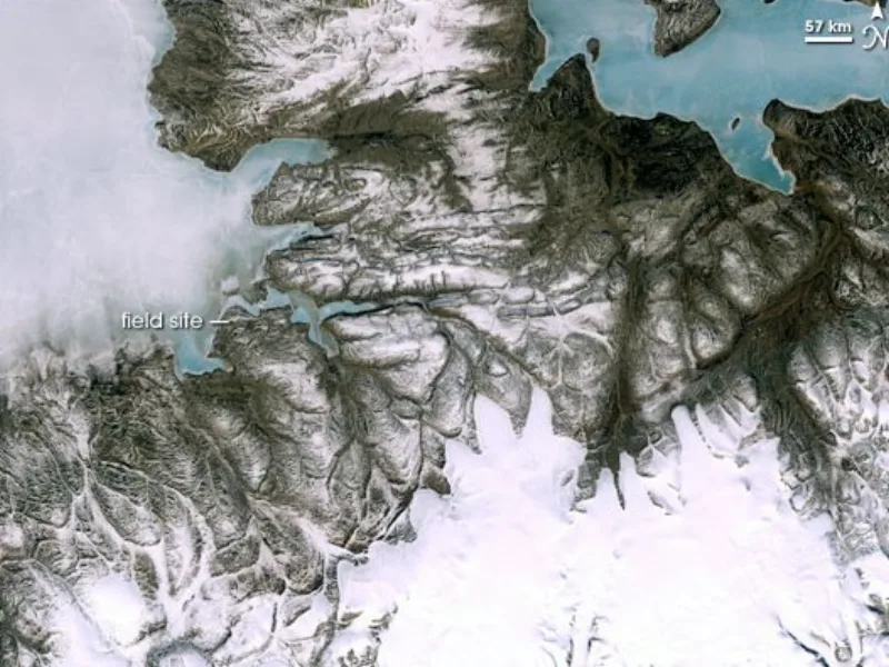 Satellite view of the Ellesmere Island site where Tiktaalik was found, in rock chosen by prediction