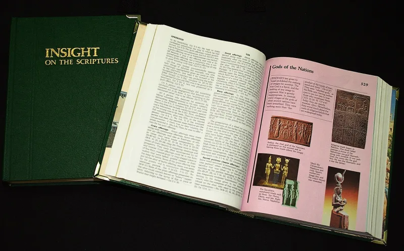 Insight on the Scriptures, the reference work in which the Society sets out this teaching