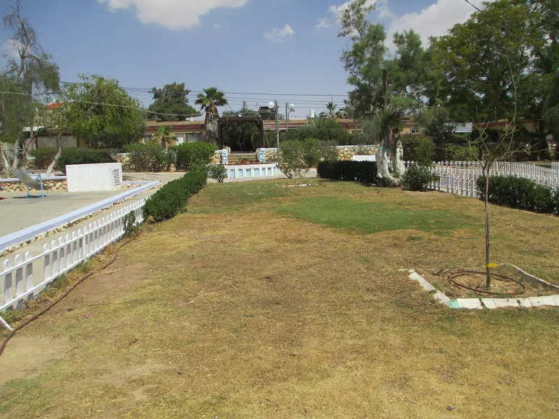 The African Hebrew Israelite village at Dimona, where polygyny is long-settled community practice