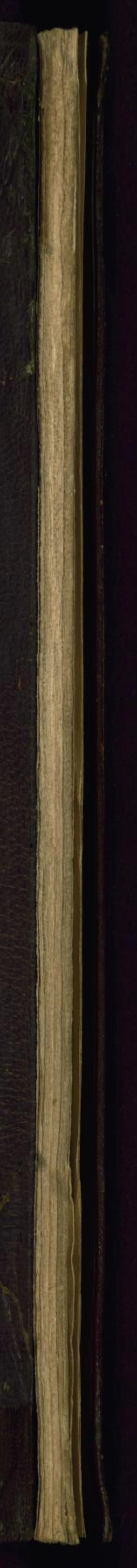 An Ottoman manual of Islamic belief and practice; the Sunni three-case rule belongs to this literature