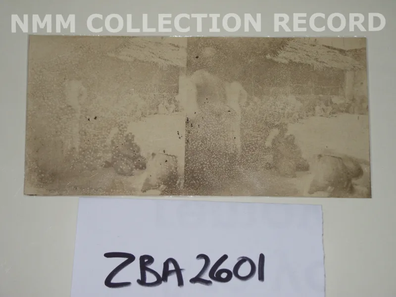 A stereoscopic photograph of the Zanzibar slave market, 1860, from the National Maritime Museum