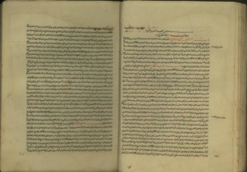 Tahdhib al-Ahkam, a Shia hadith collection; taqiyya developed chiefly as a shield under persecution